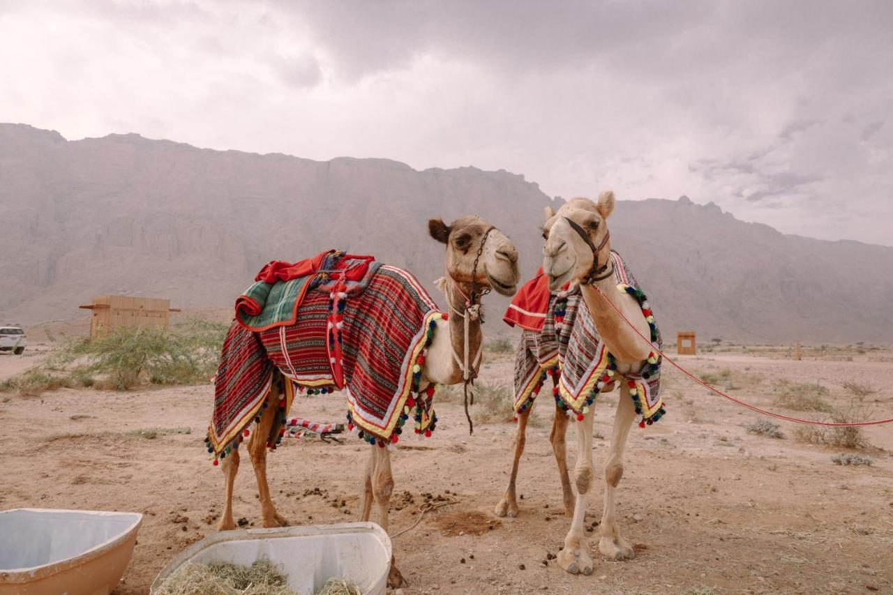 Pura Eco Retreat, Jebel Hafit Desert Park Ал Айн Екстериор снимка